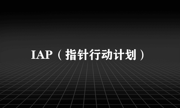 IAP（指针行动计划）