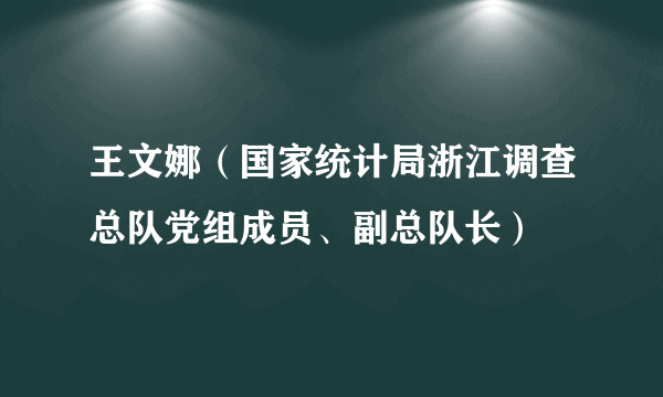 王文娜（国家统计局浙江调查总队党组成员、副总队长）