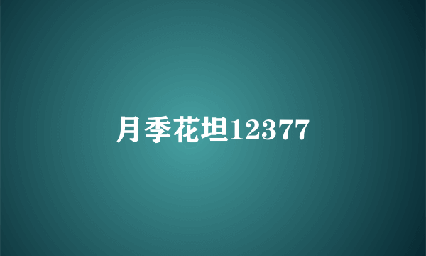 月季花坦12377