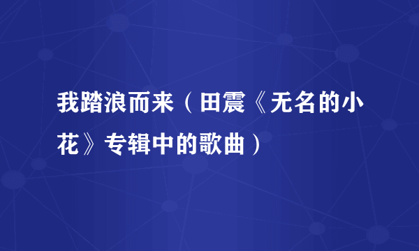 我踏浪而来（田震《无名的小花》专辑中的歌曲）