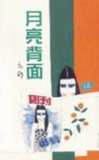 月亮背面（1994年天地图书出版社出版的图书）