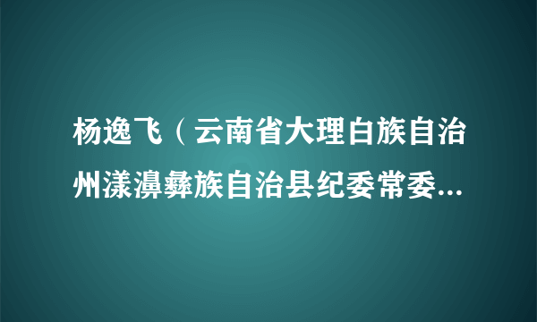 杨逸飞（云南省大理白族自治州漾濞彝族自治县纪委常委、办公室主任，副科级、纪委委员、县监委委员、办公室主任）