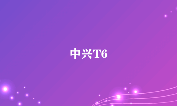 中兴T6