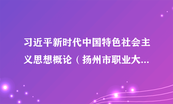 习近平新时代中国特色社会主义思想概论（扬州市职业大学的慕课）