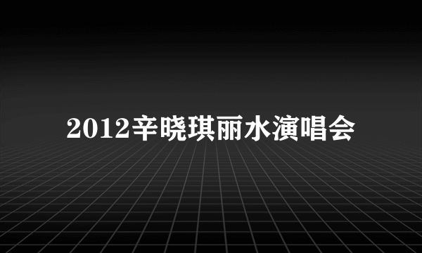 2012辛晓琪丽水演唱会