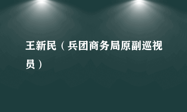 王新民（兵团商务局原副巡视员）