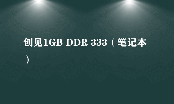 创见1GB DDR 333（笔记本）