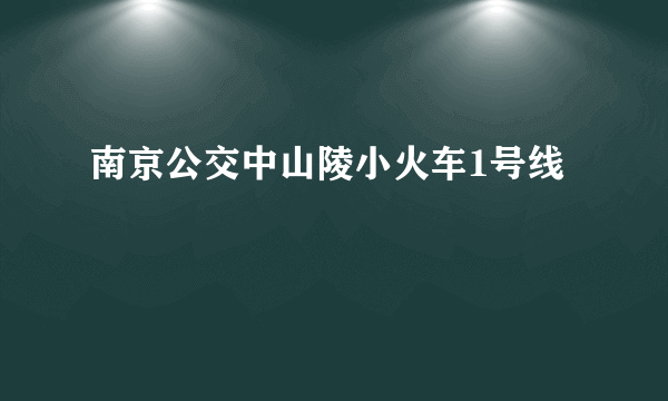 南京公交中山陵小火车1号线