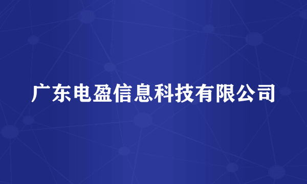 广东电盈信息科技有限公司