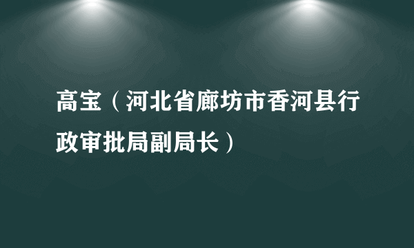 高宝（河北省廊坊市香河县行政审批局副局长）