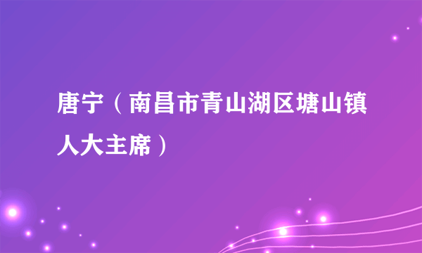 唐宁（南昌市青山湖区塘山镇人大主席）