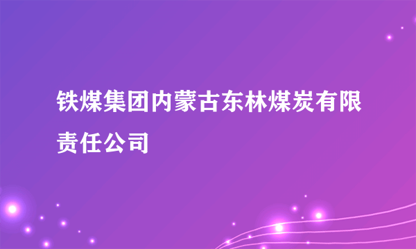 铁煤集团内蒙古东林煤炭有限责任公司