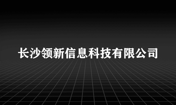 长沙领新信息科技有限公司