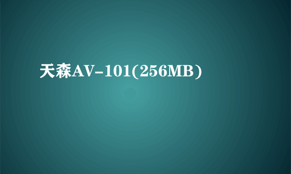 天森AV-101(256MB)