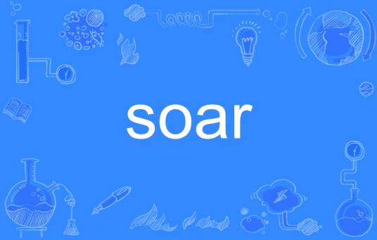 soar（英文单词）