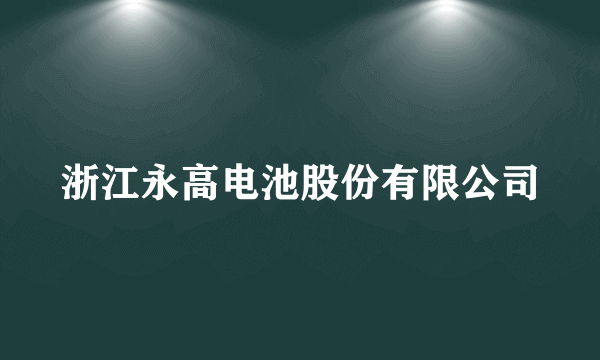 浙江永高电池股份有限公司