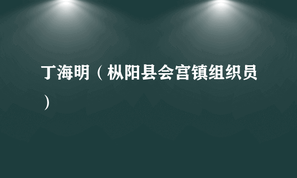 丁海明（枞阳县会宫镇组织员）