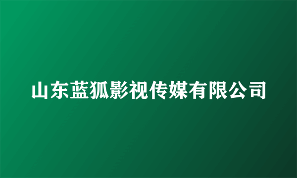 山东蓝狐影视传媒有限公司