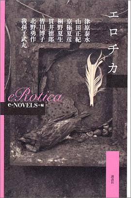 eRotica（2004年讲谈社出版的图书）