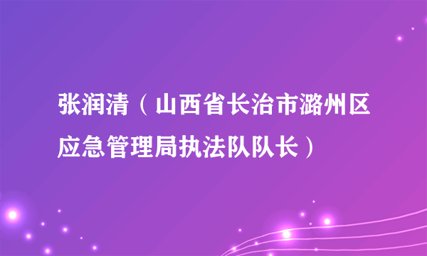 张润清（山西省长治市潞州区应急管理局执法队队长）