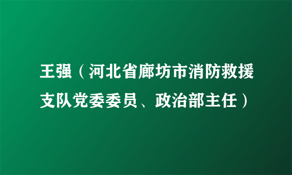 王强（河北省廊坊市消防救援支队党委委员、政治部主任）