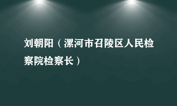 刘朝阳（漯河市召陵区人民检察院检察长）