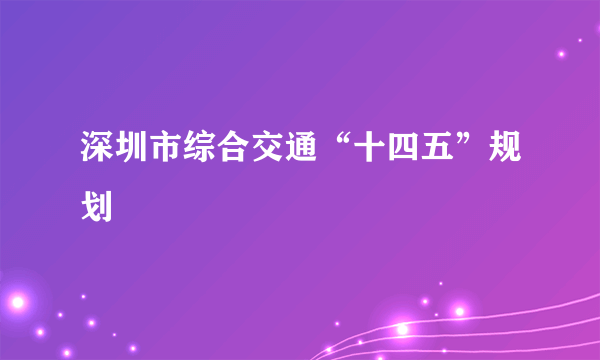 深圳市综合交通“十四五”规划