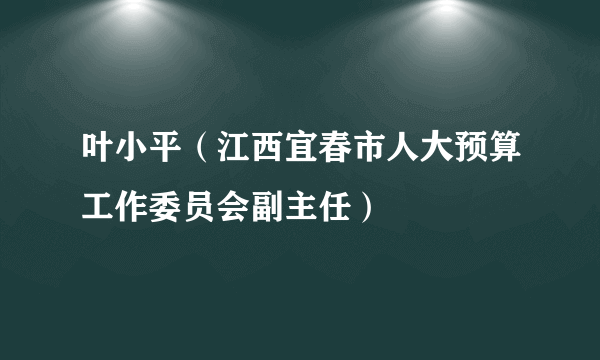 叶小平（江西宜春市人大预算工作委员会副主任）