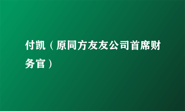 付凯（原同方友友公司首席财务官）