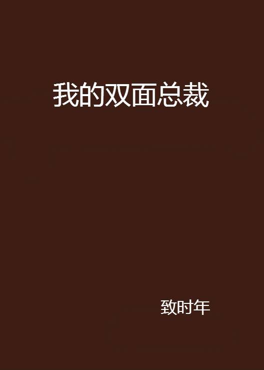 我的双面总裁（17K小说网连载的小说）