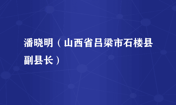 潘晓明（山西省吕梁市石楼县副县长）