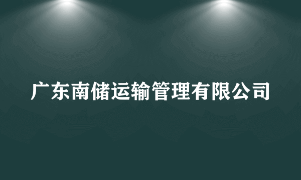 广东南储运输管理有限公司