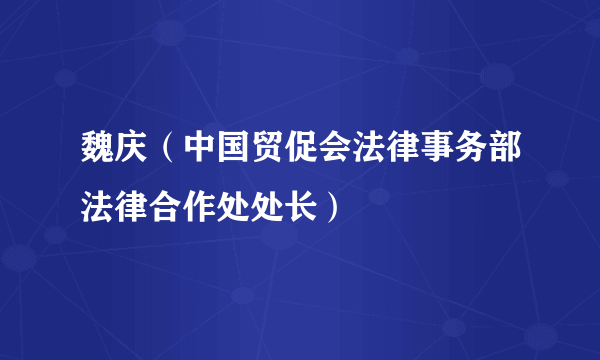 魏庆（中国贸促会法律事务部法律合作处处长）