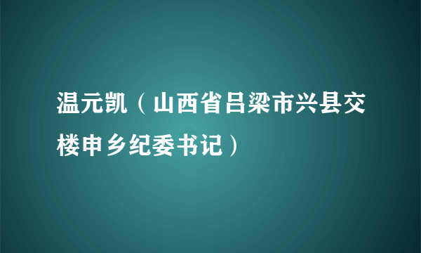 温元凯（山西省吕梁市兴县交楼申乡纪委书记）