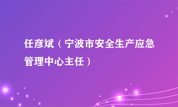 任彦斌（宁波市安全生产应急管理中心主任）