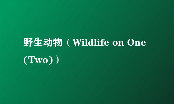 野生动物（Wildlife on One (Two)）