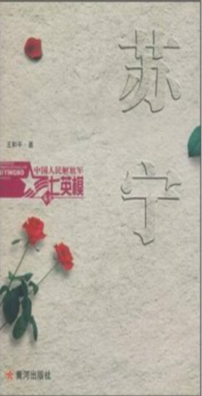 苏宁（2004年黄河出版社出版的图书）