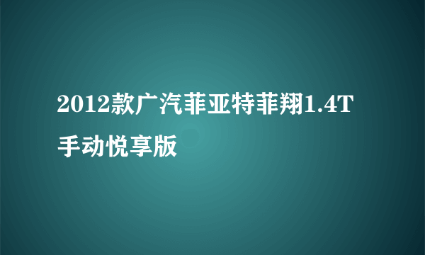 2012款广汽菲亚特菲翔1.4T手动悦享版