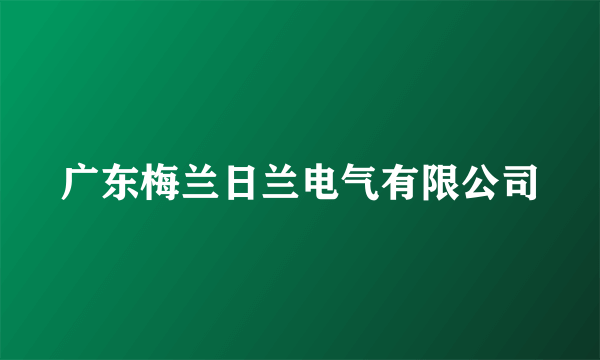 广东梅兰日兰电气有限公司