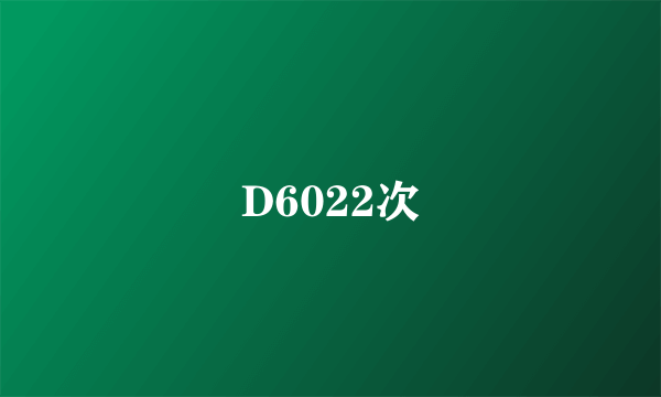 D6022次