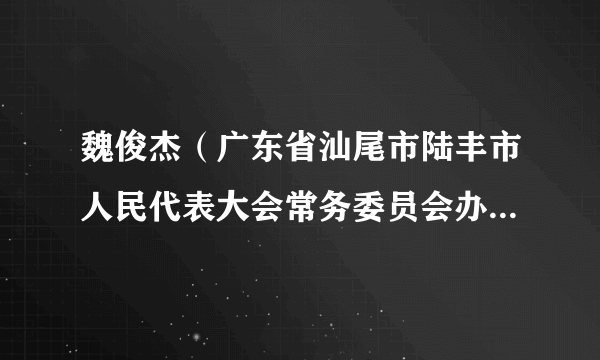 魏俊杰（广东省汕尾市陆丰市人民代表大会常务委员会办公室副主任）