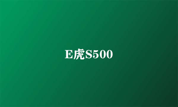 E虎S500