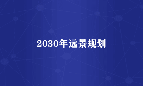 2030年远景规划