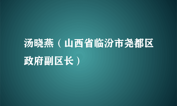 汤晓燕（山西省临汾市尧都区政府副区长）