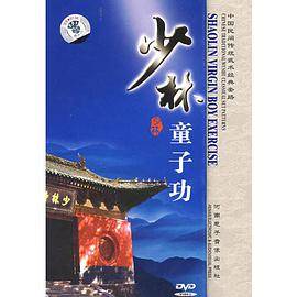 少林童子功/中国民间传统武术经典套路(DVD)