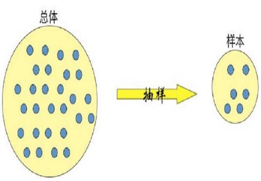 菲力浦斯