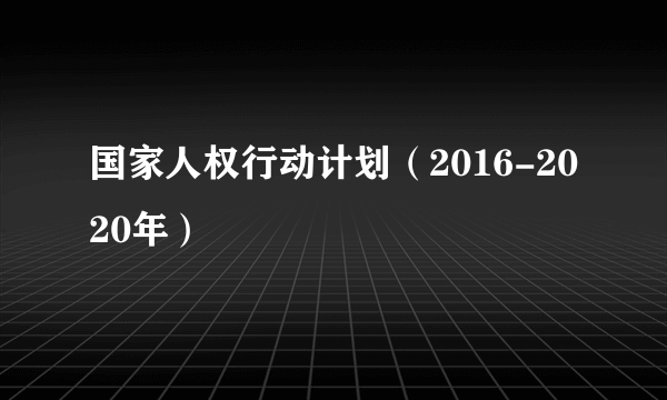 国家人权行动计划（2016-2020年）