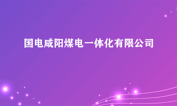 国电咸阳煤电一体化有限公司