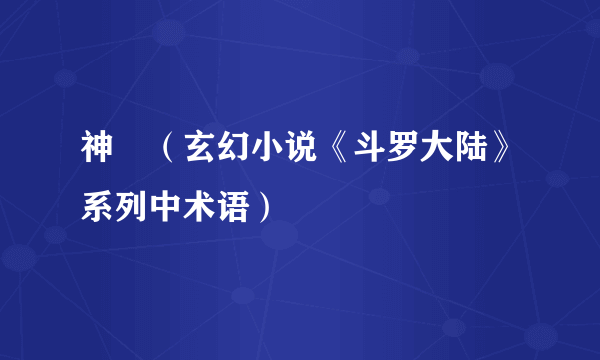 神祇（玄幻小说《斗罗大陆》系列中术语）