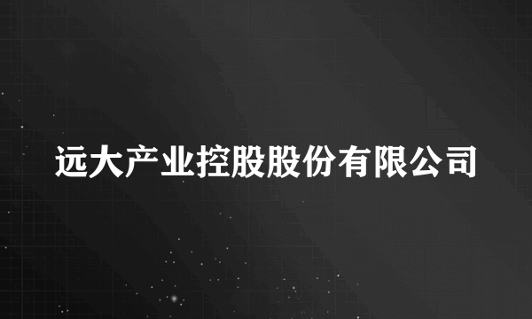 远大产业控股股份有限公司